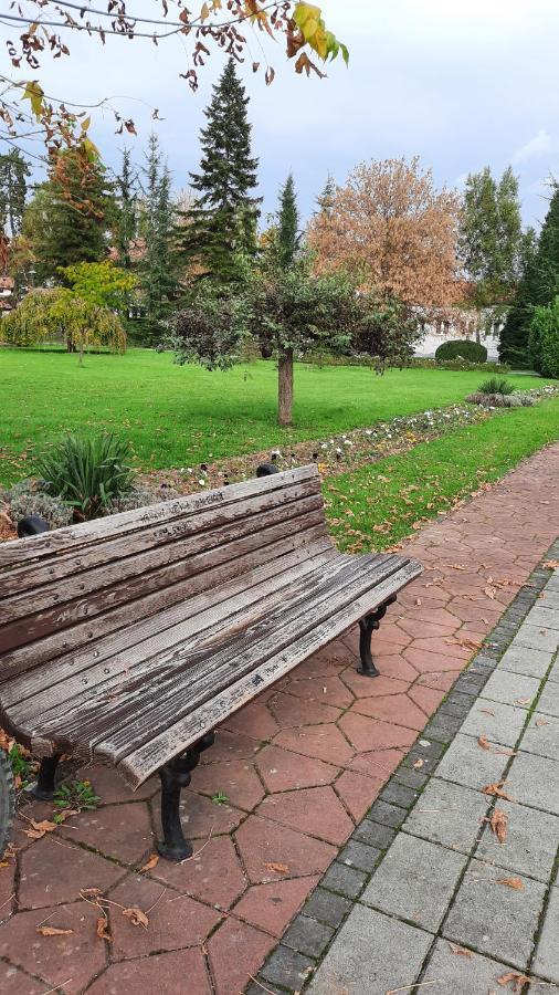 Apartman Mila, Banja Koviljača Exterior foto